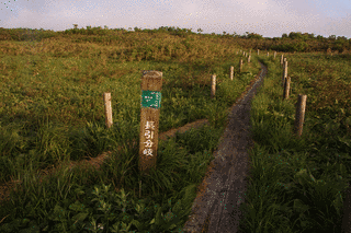 長引山の画像