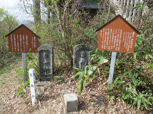房住山の画像