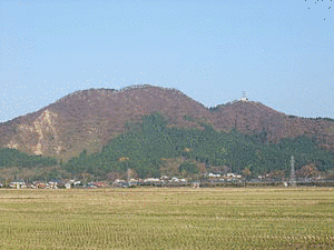 森山の画像
