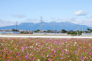 赤城山の画像