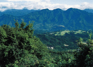 小野子山の画像