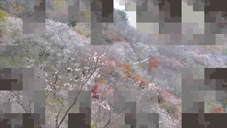 桜山の画像