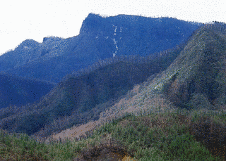 鼻曲山の画像