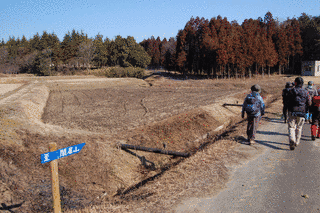 閑居山の画像