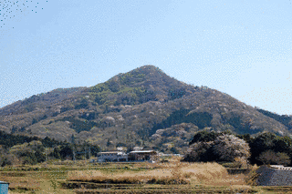権現山の画像