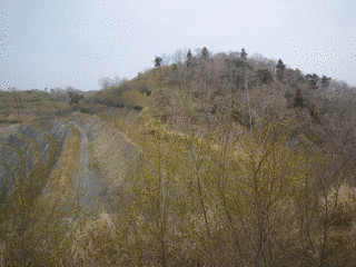 羽田山の画像