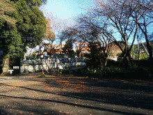 丸山の画像