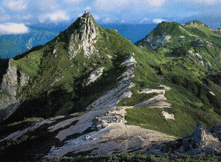 烏帽子岳の画像
