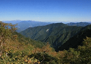 大棚入山の画像