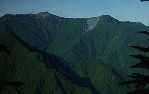 奥茶臼山の画像