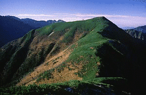 小河内岳の画像