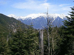尾高山の画像