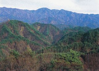 鬼面山の画像