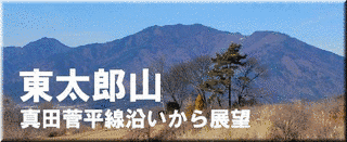 太郎山の画像