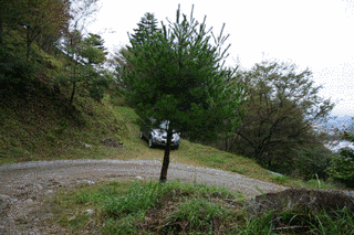 月蔵山の画像