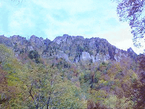 戸隠山の画像