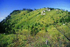 南木曽岳の画像