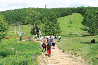 入笠山の画像