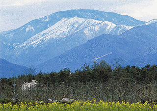 鉢盛山の画像