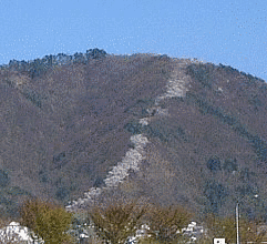 光城山の画像