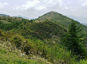 飯盛山の画像