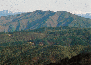 守屋山の画像