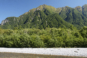 六百山の画像