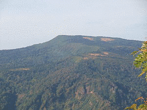 逆川岳の画像