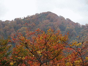 天狗岳の画像