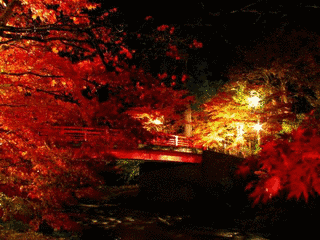 紅葉山の画像