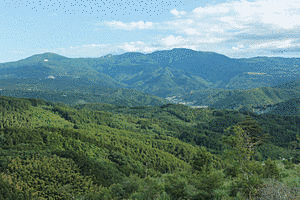 天城山の画像