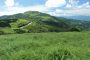 玄岳の画像