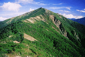 蝙蝠岳の画像