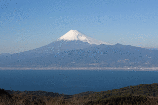 達磨山の画像