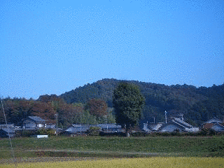 本宮山の画像