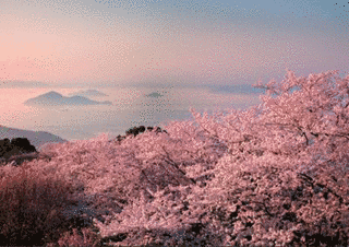 紫雲出山の画像