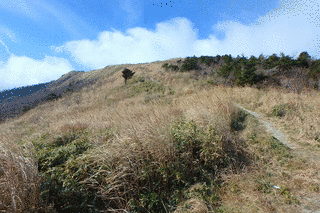 奥神賀山の画像