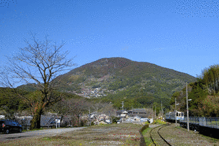 蟠蛇森の画像