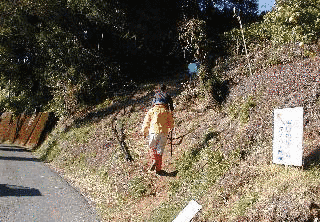 松尾山の画像