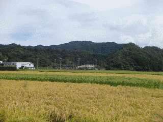 金峯山の画像