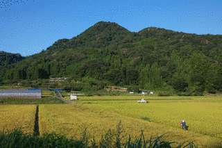 二上山の画像
