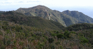 稲尾岳の画像