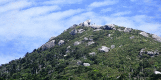 黒味岳の画像