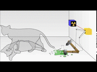 科学デジタル質問箱の画像