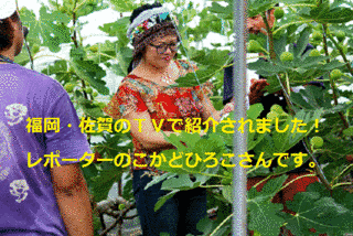 とれたて情報かちかちテレビの画像