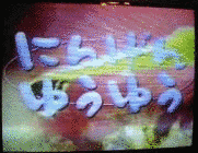 にんげんゆうゆうの画像