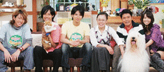 ペット大集合!ポチたまの画像