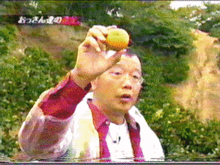 つるまげどんの画像