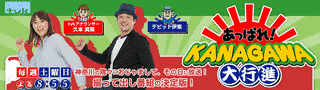 あっぱれ!KANAGAWA大行進の画像