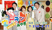東北地方のテレビの情報・ワイドショー番組の画像